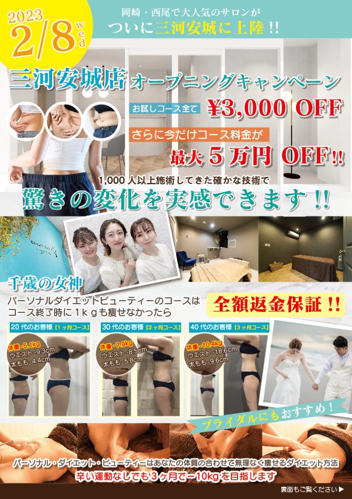 ねこのて事務所　B4両面　チラシデザイン作成